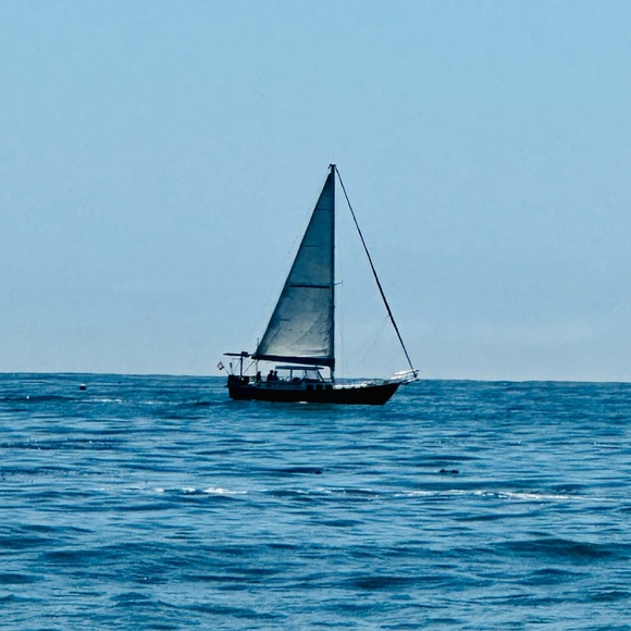 Meet your Posher, Mar - Picture 1 of 1